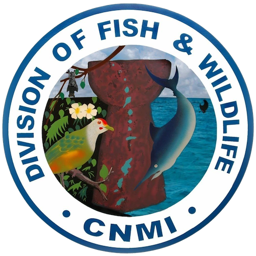 division of fish and wildlife