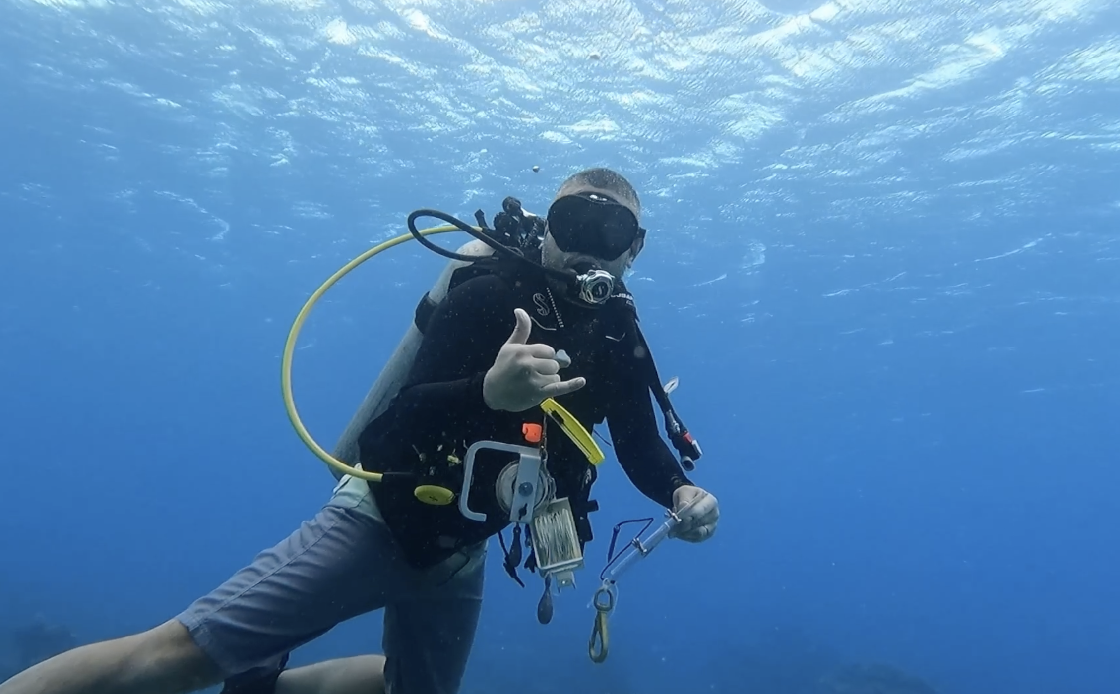lead biologist underwater with scuba gear