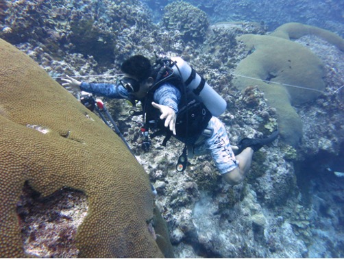 coral restoration technician underwater next to large coral