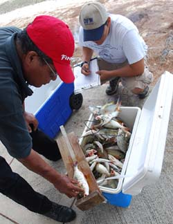 DFW checking fish measurements