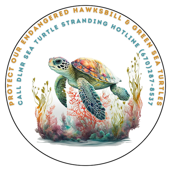sea turtle banner